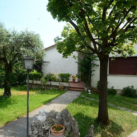 Casa del Nonno Villa Pietrasanta Eksteriør billede